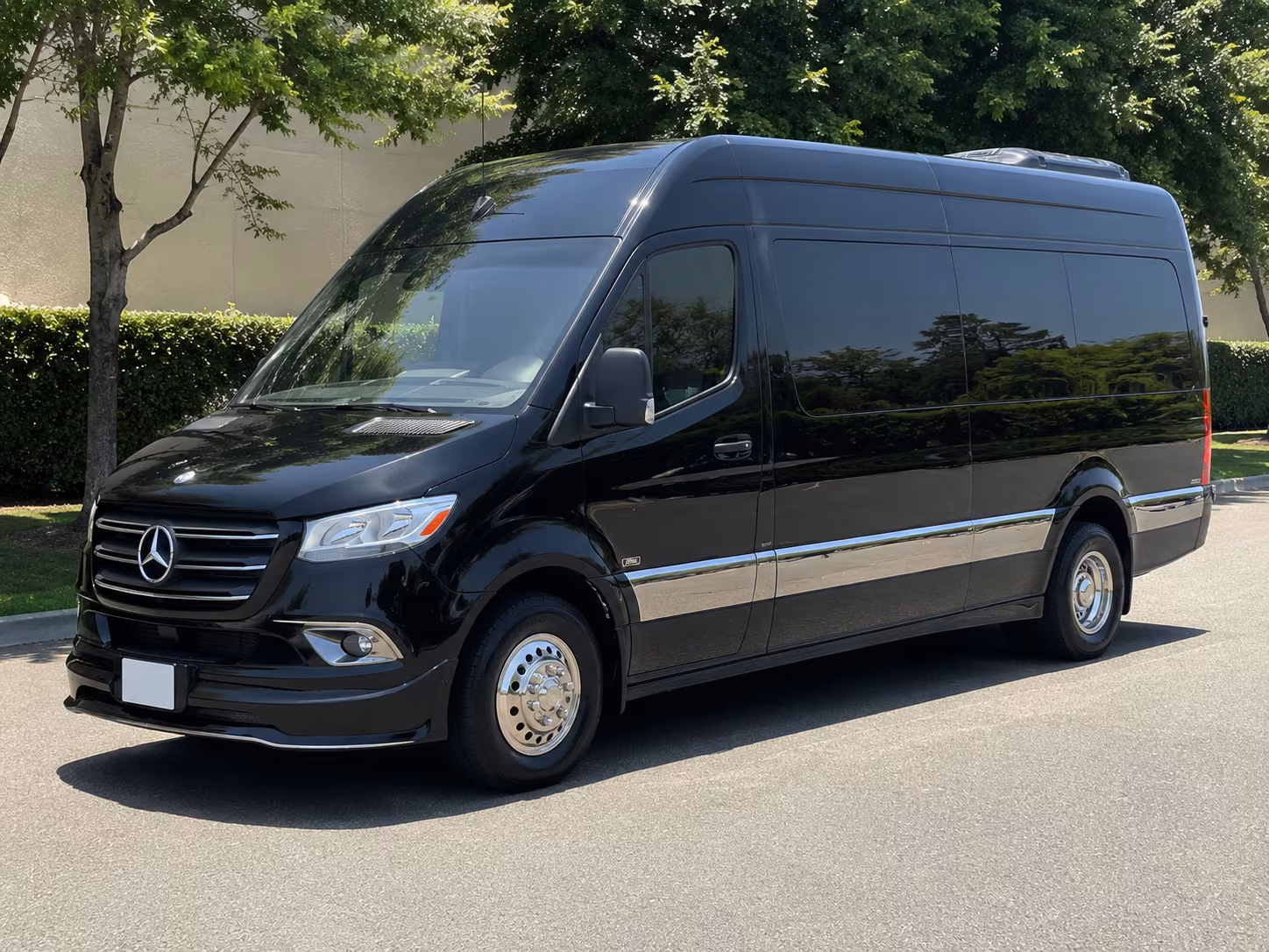 newport news sprinter van with driver